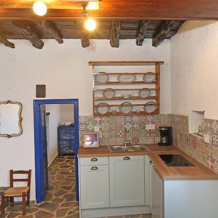 Le Petit Chateau 아노 시로스 외부 사진